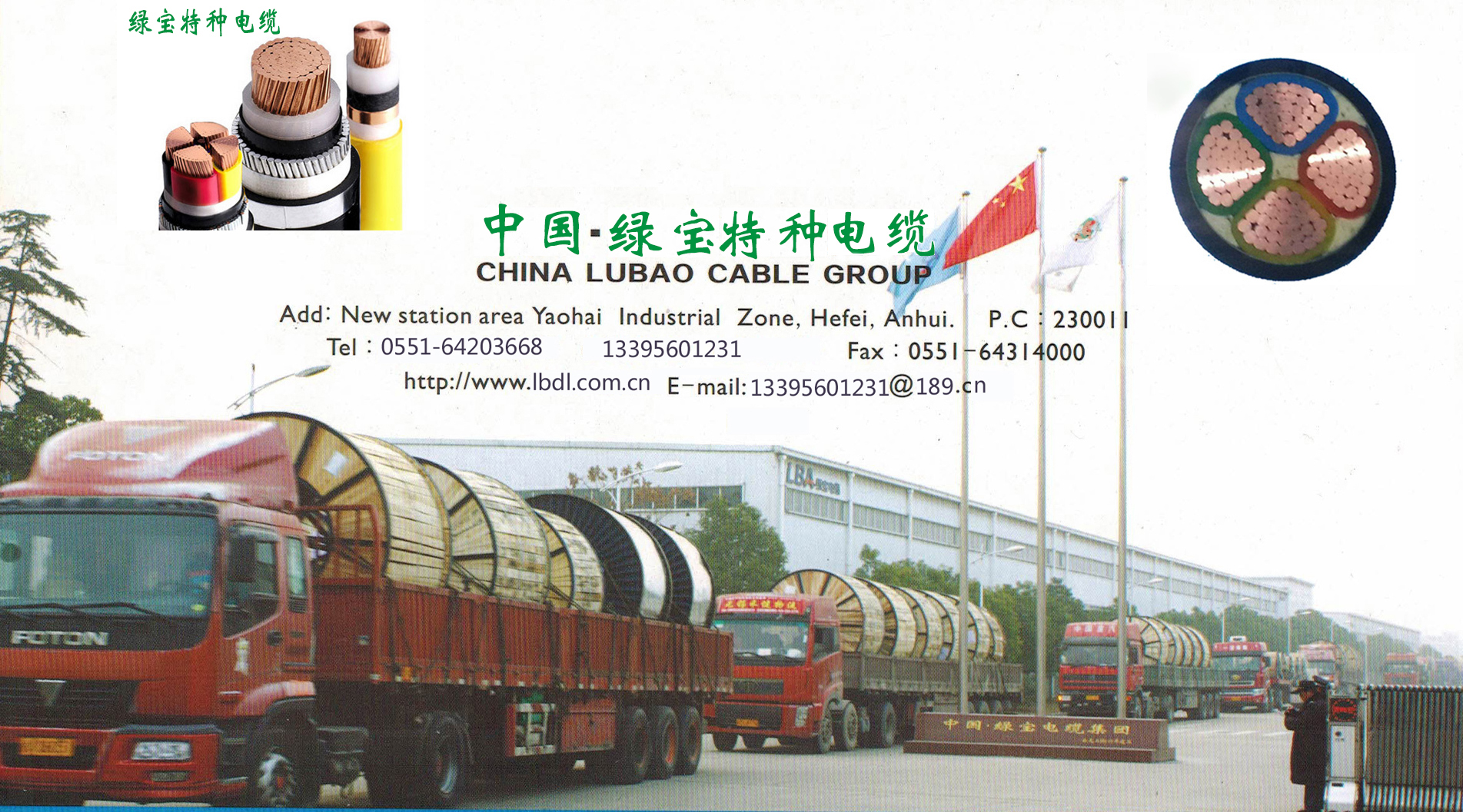 星空(中国)集团厂区 星空(中国)集团厂区